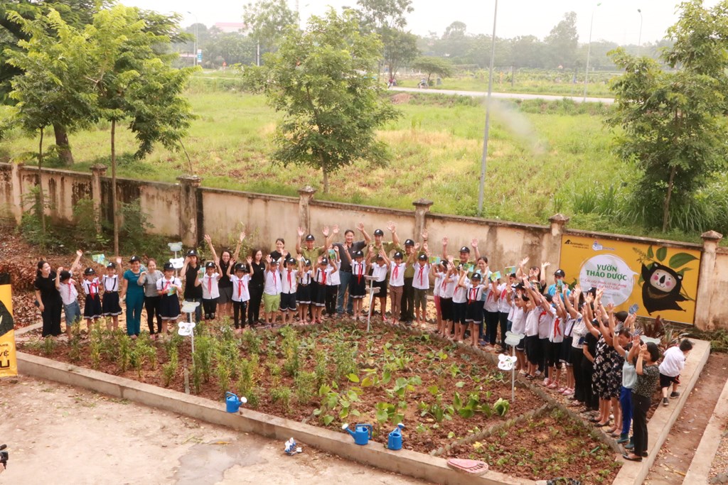 Khởi[-]động[-]trồng[-]c&aacute;c[-]c&acirc;y[-]thảo[-]dược[-]thay[-]thế[-]mật[-]gấu